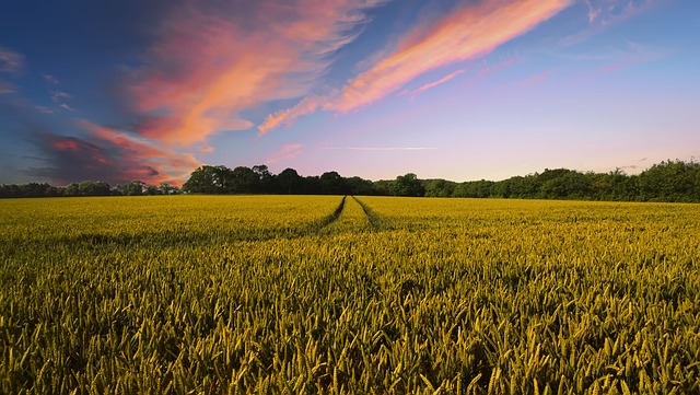 Auswirkungen der landwirtschaftlichen Praxis