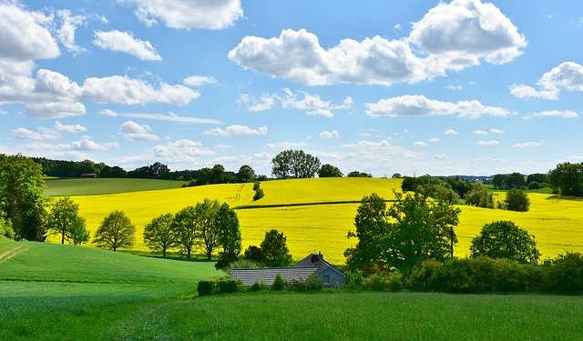 Wie wirkt sich die Landwirtschaft auf die Umwelt aus?