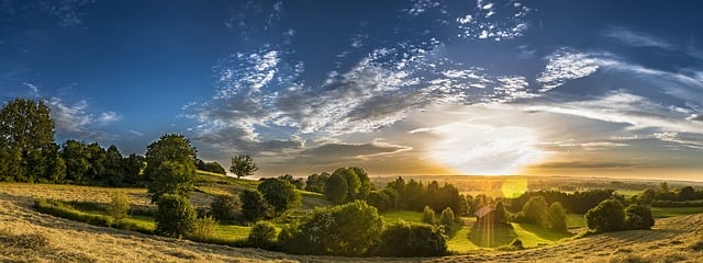 Klimaauswirkungen auf die Landwirtschaft und die Nahrungsmittelversorgung