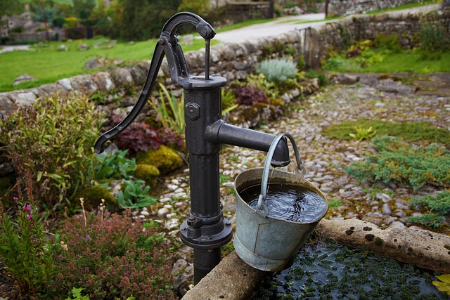 Kaufratgeber für  Akku Wasserpumpen